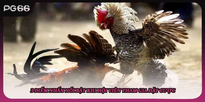 3 điểm nhấn nổi bật khi hội viên tham gia đặt cược