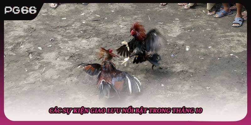 Các sự kiện giao lưu nổi bật trong tháng 10