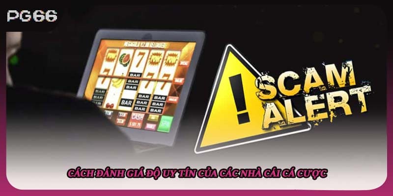Cách đánh giá độ uy tín của các nhà cái cá cược